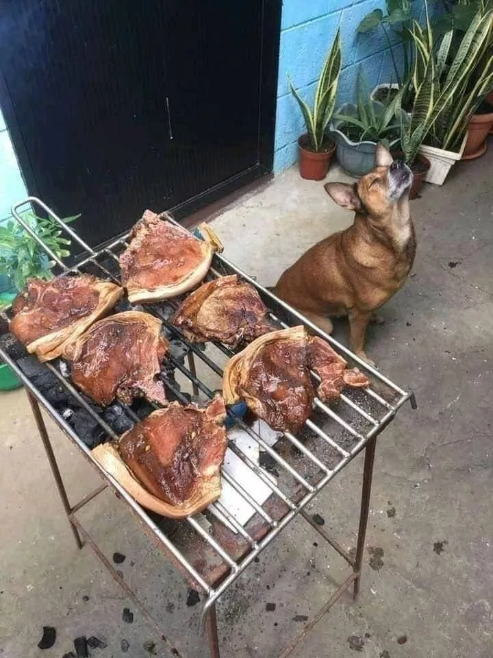 Picdump 623 - #52 