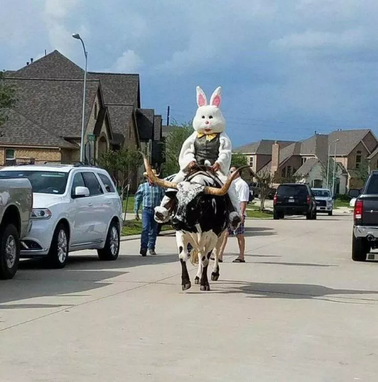 Picdump 624 - #39 