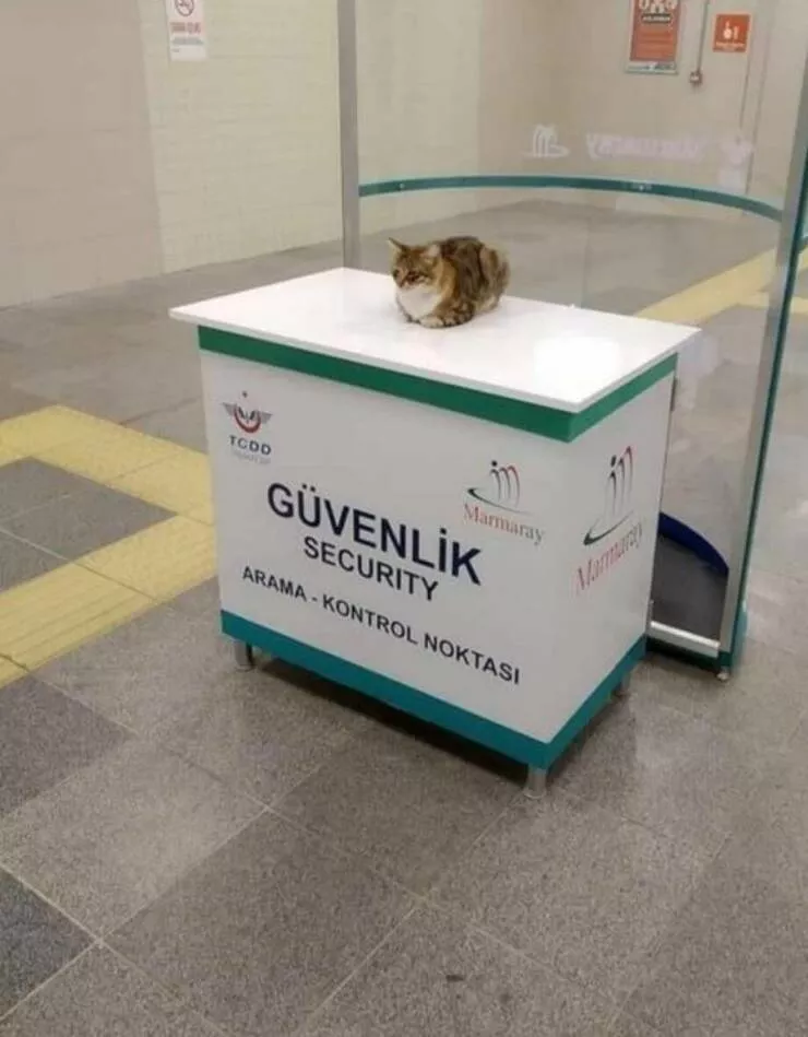 Picdump 624 - #60 