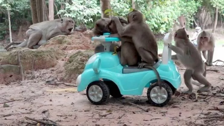 Picdump 624 - #68 