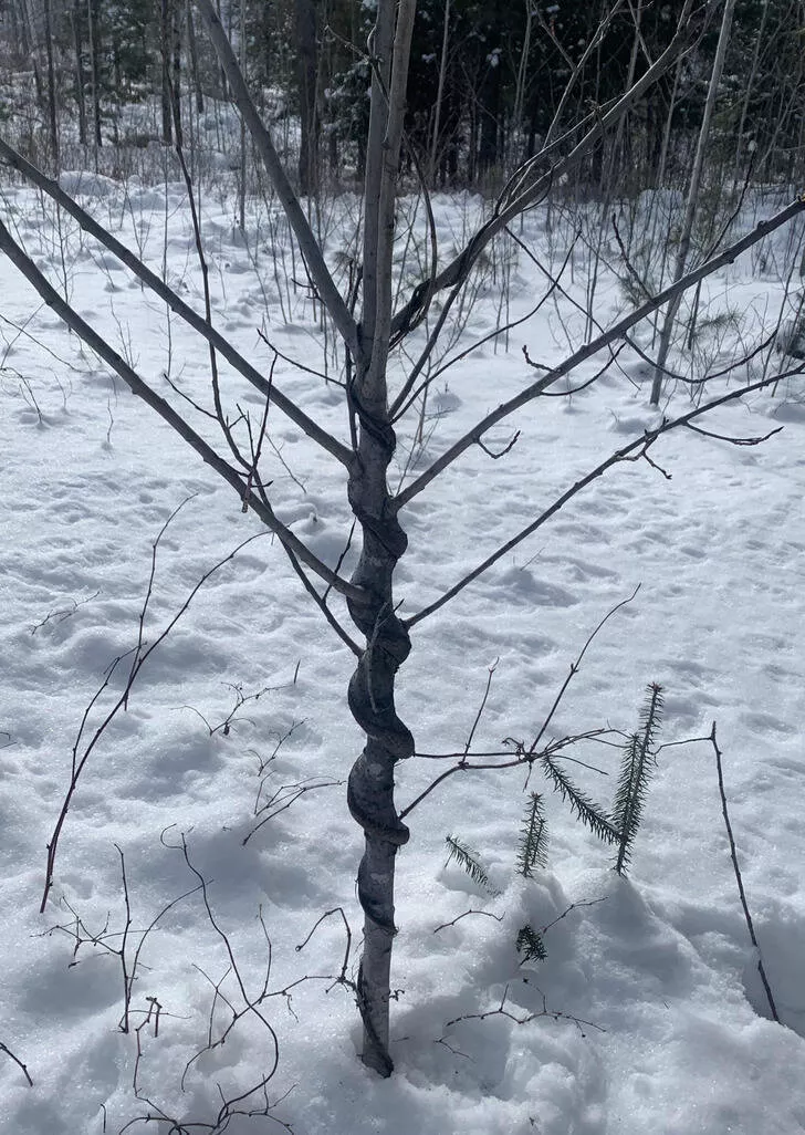 Interesting - #26 
