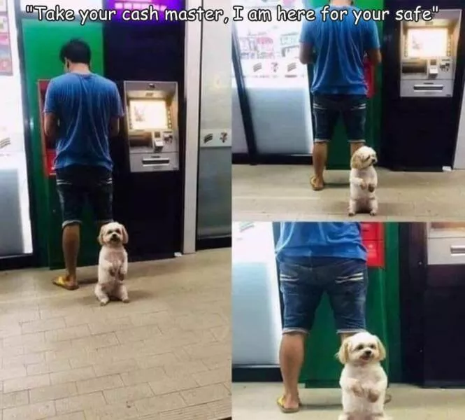 Picdump 625 - #16 