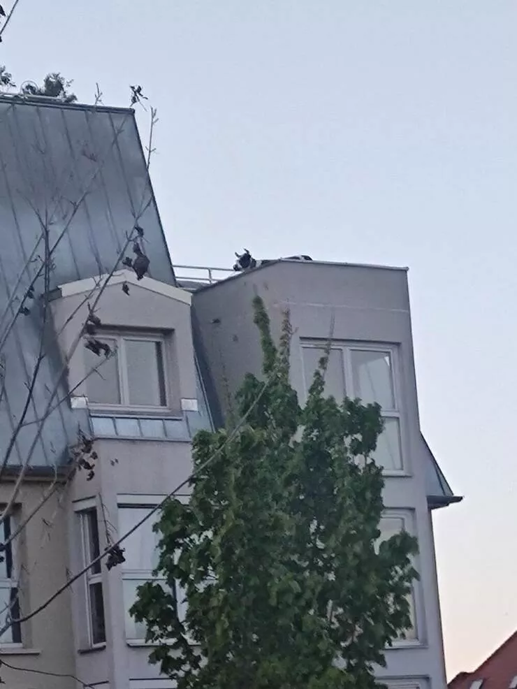 Picdump 625 - #39 