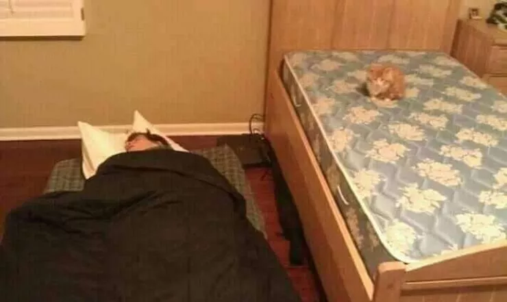 Picdump 625 - #40 