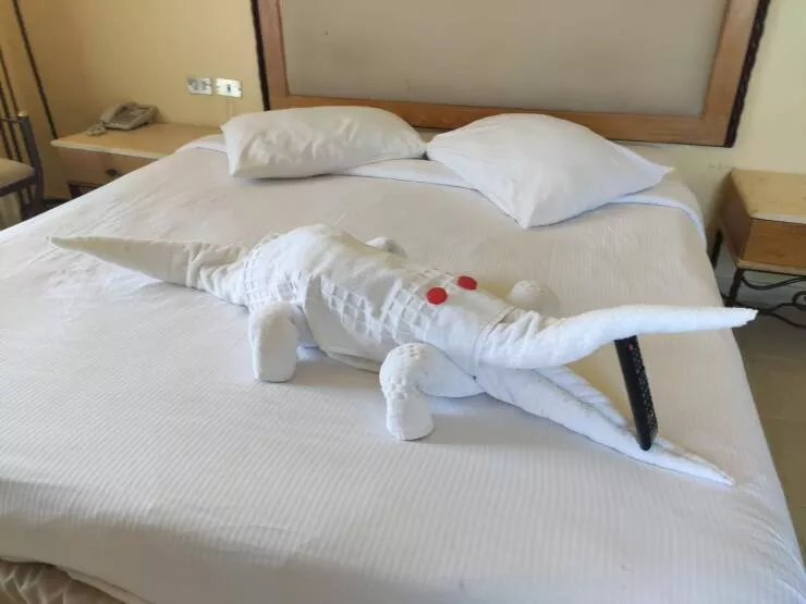 Picdump 625 - #8 