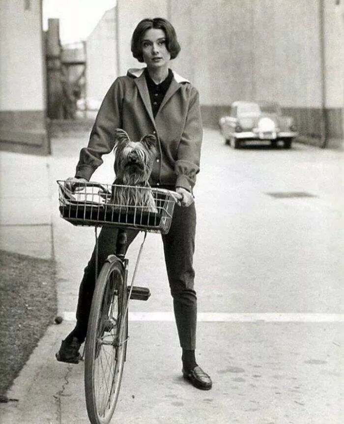 The best of vintage photos recently found - #15 
