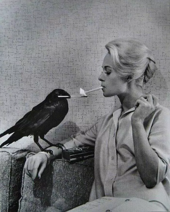 The best of vintage photos recently found - #9 