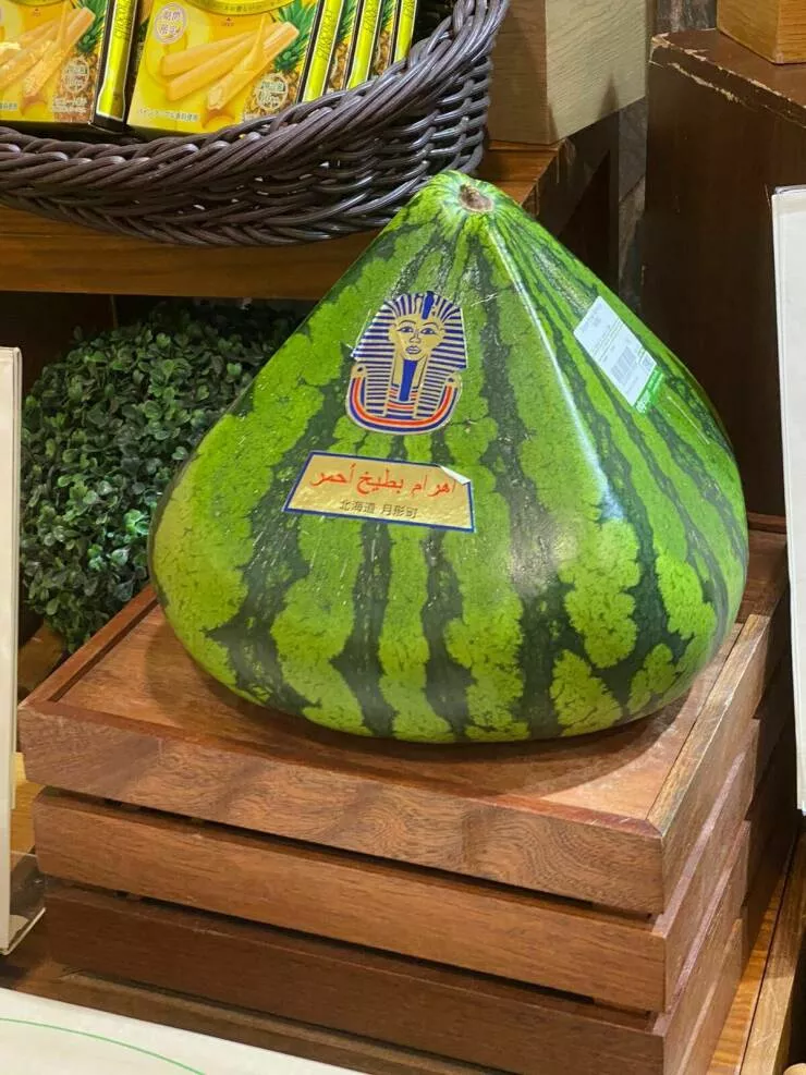 Picdump 626 - #21 