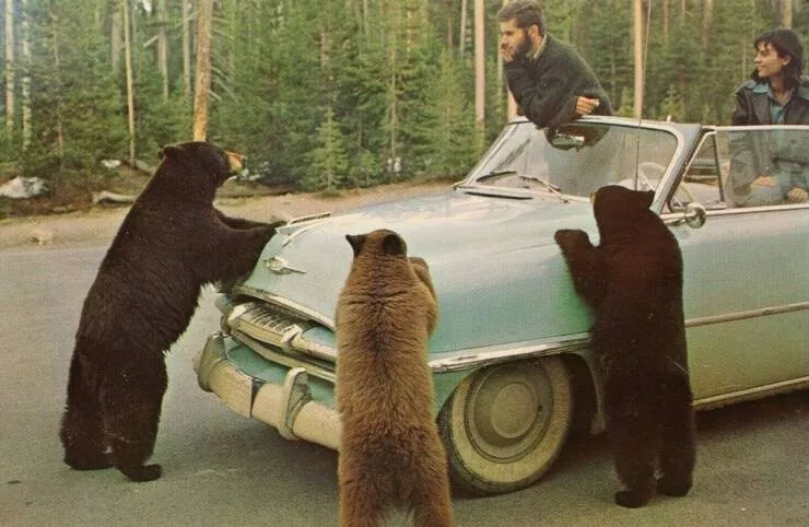 Picdump 626 - #37 