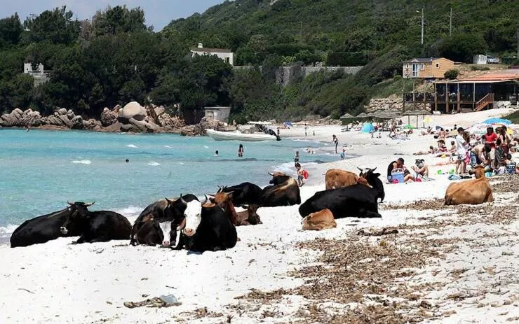 Picdump 626 - #50 