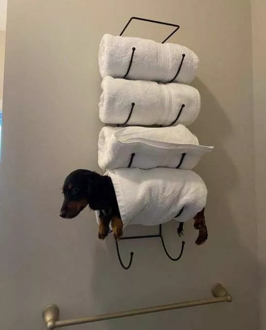 Picdump 626 - #60 