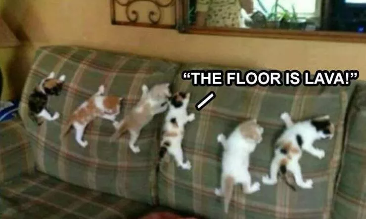 Picdump 627 - #49 