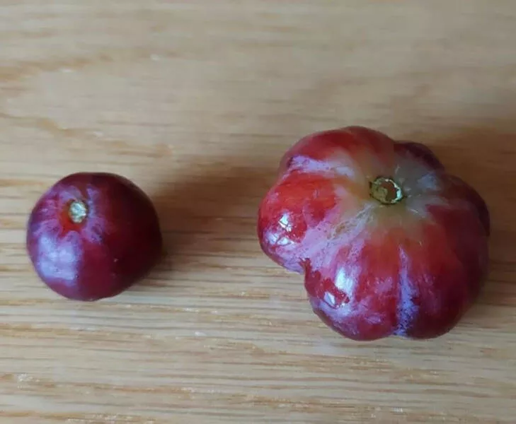 Des images fascinantes - #20  multi-raisin