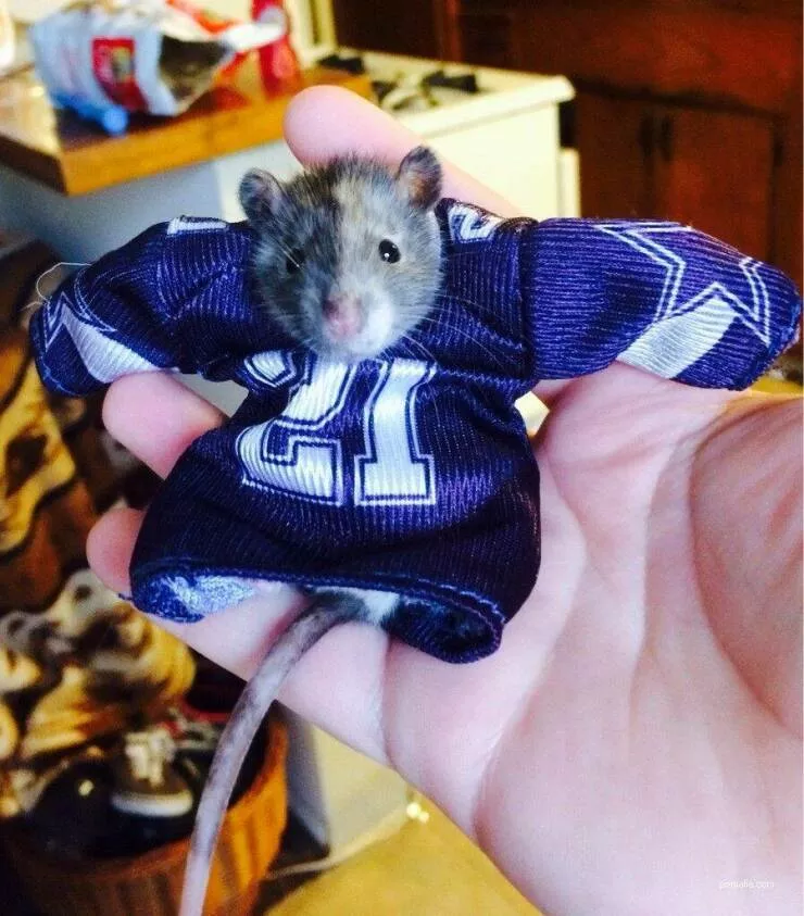 Picdump 628 - #11 