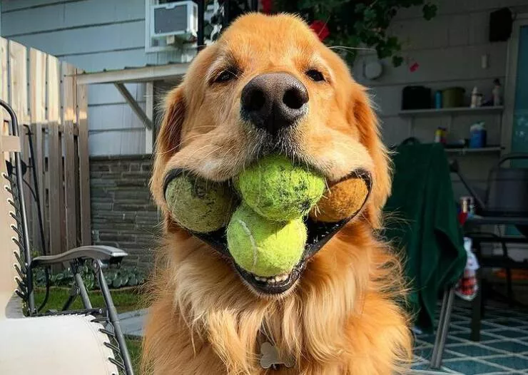 Picdump 628 - #35 