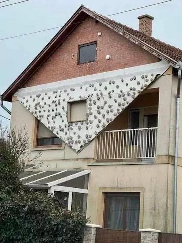 Compilation des fails 