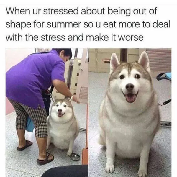 An example of having a bad day - #18 