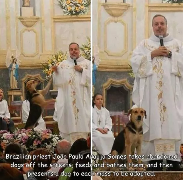 Picdump 629 - #31 