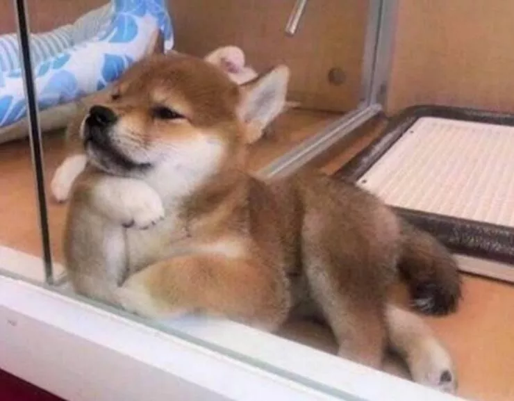 Picdump 629 - #38 