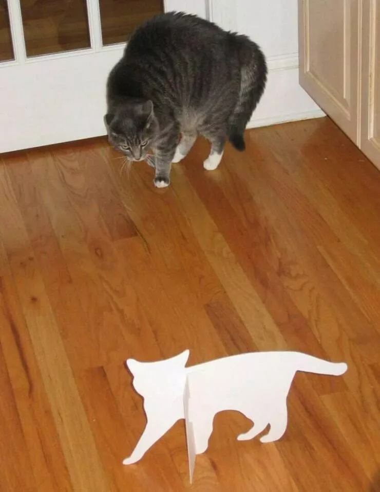 Picdump 629 - #42 