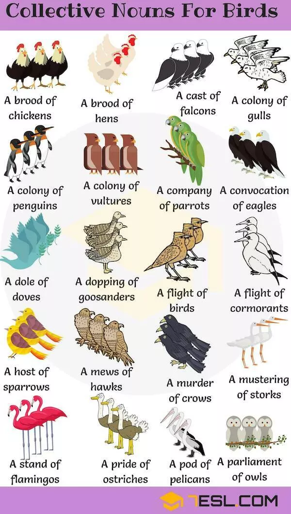 Some knowledge to start the day off right - #12 