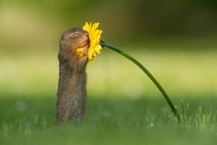 Picdump 630 - #13 