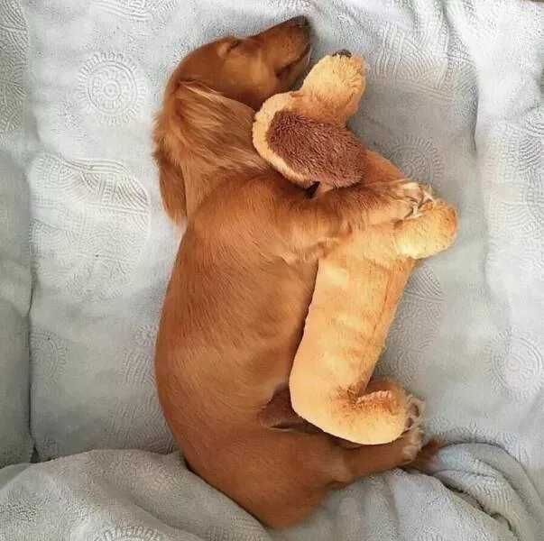 Picdump 630 - #17 