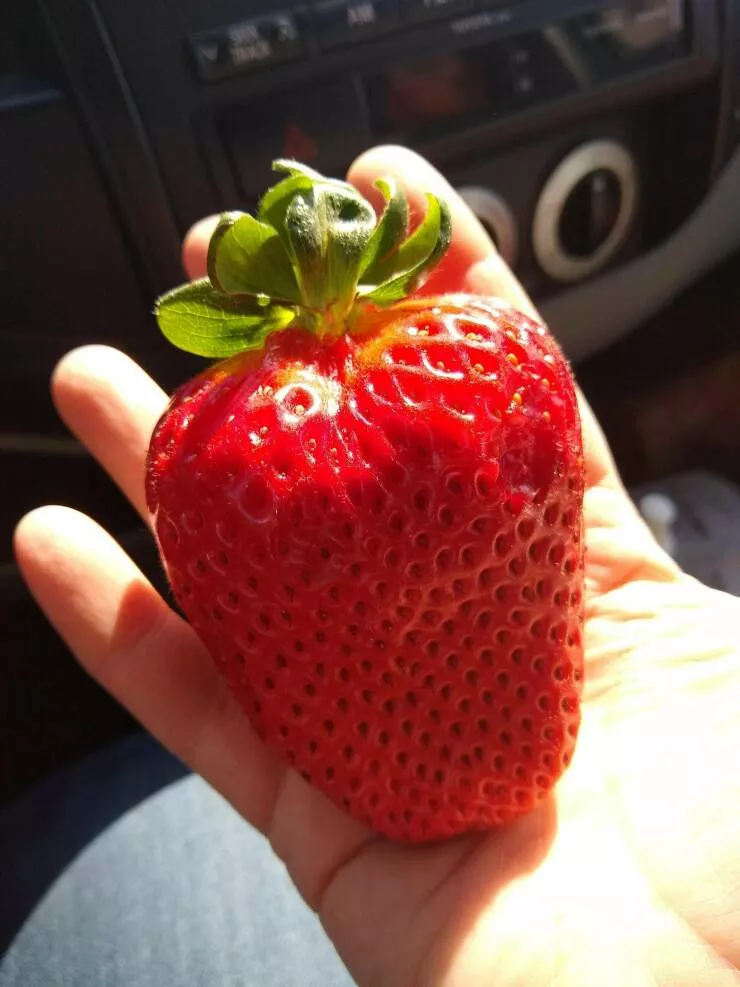 Picdump 630 - #21 
