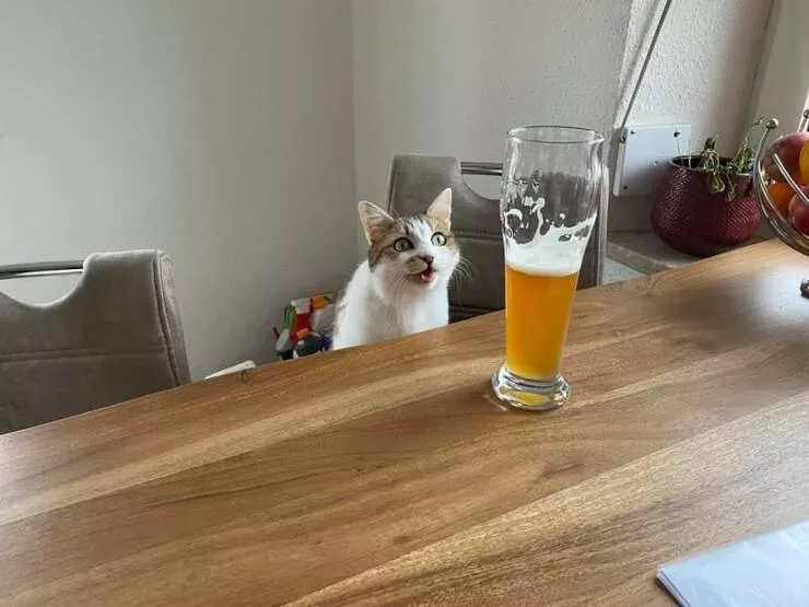 Picdump 630 - #44 