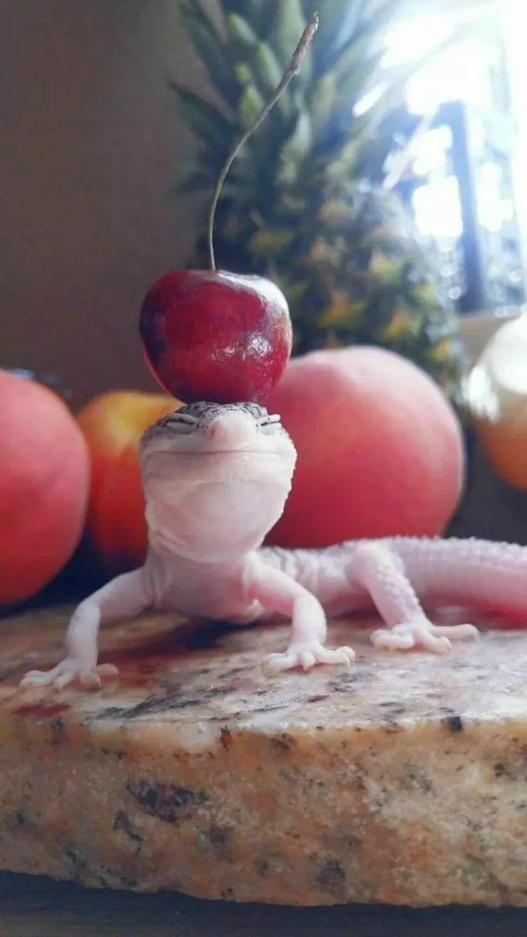 Picdump 631 - #26 