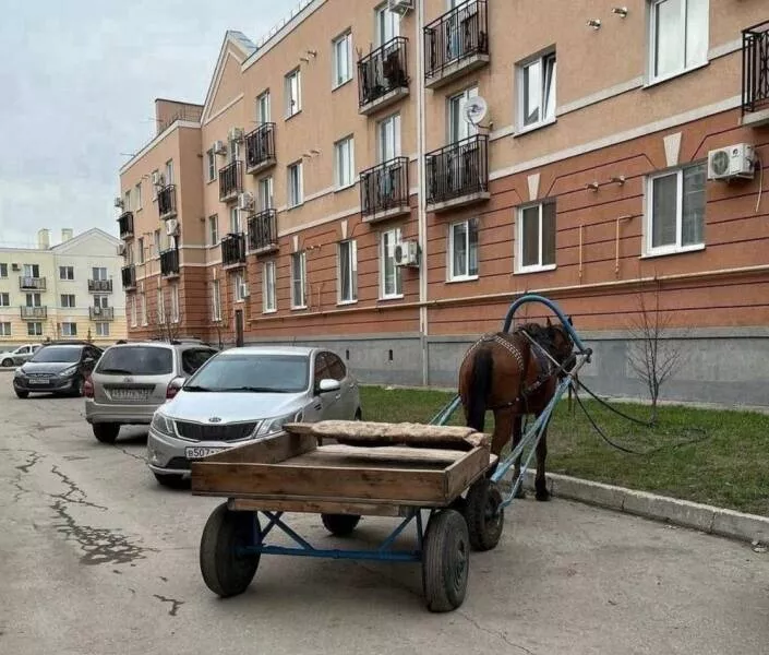 Picdump 631 - #9 