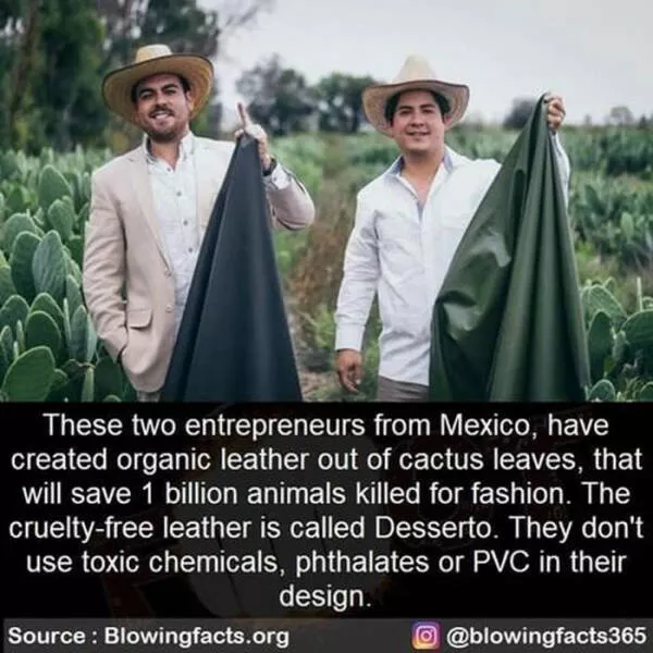 A good dose of information