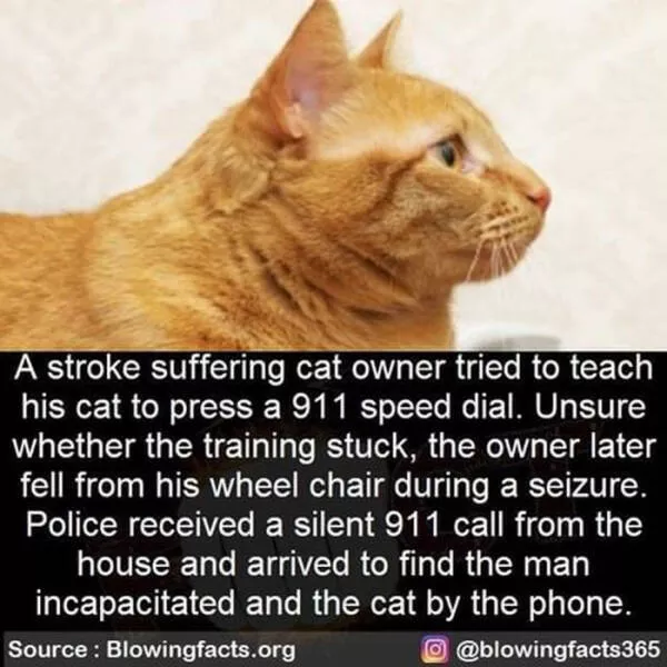 A good dose of information - #10 