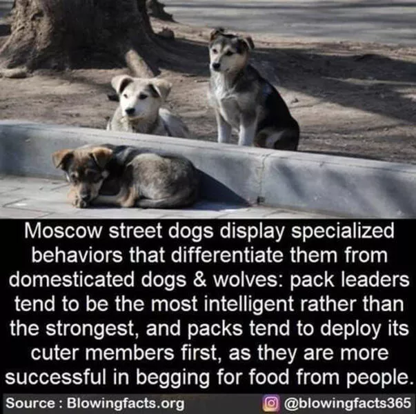 A good dose of information - #22 
