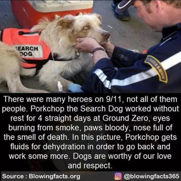 A good dose of information - #3 