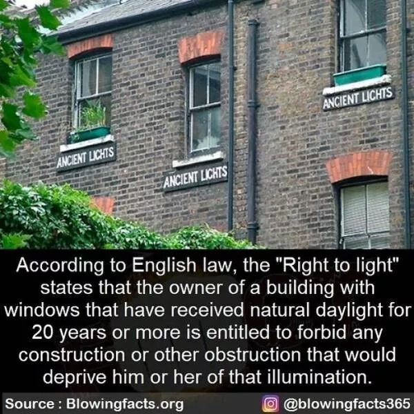 A good dose of information - #45 