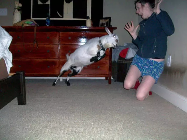 One second before disaster - #39 