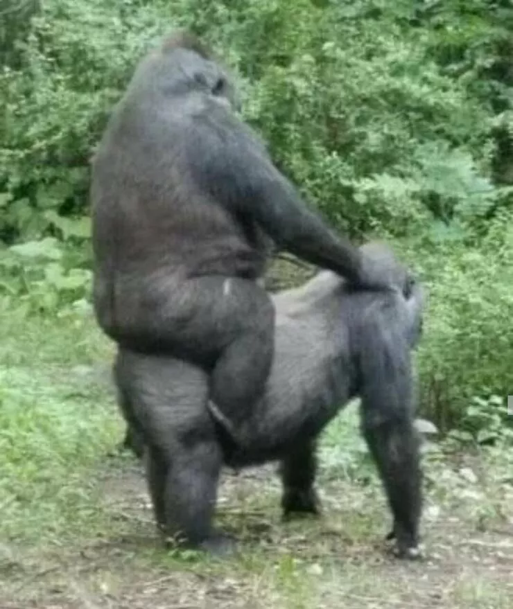 Picdump 633 - #14 