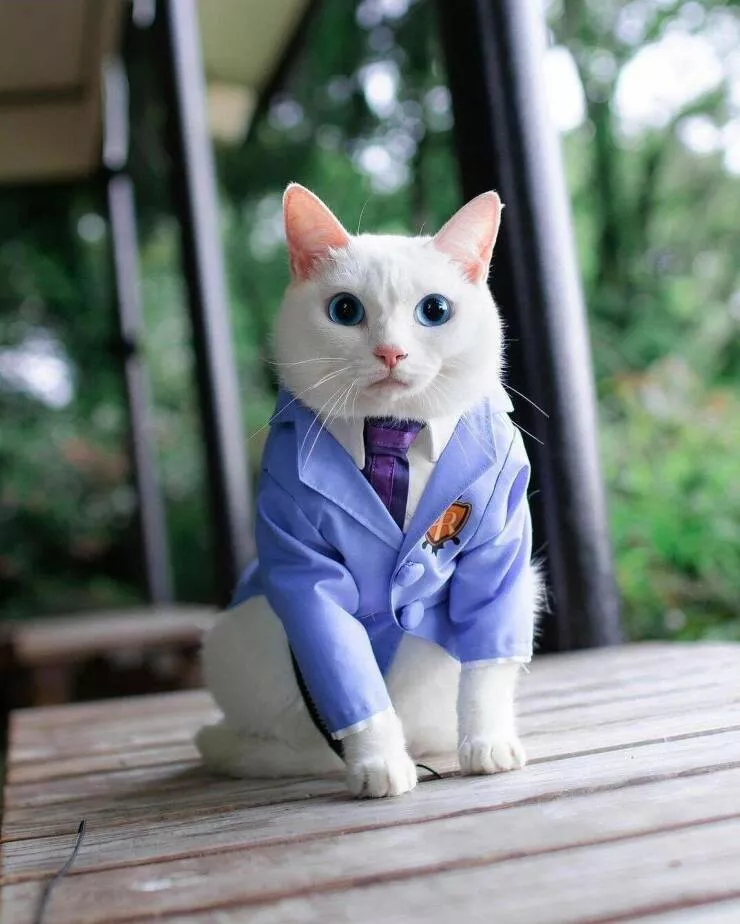 Picdump 634 - #15 