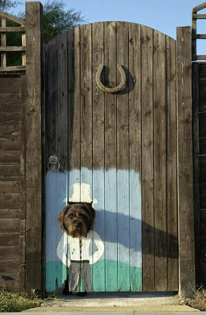 Picdump 634 - #17 