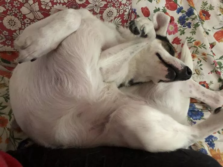 Picdump 634 - #49 