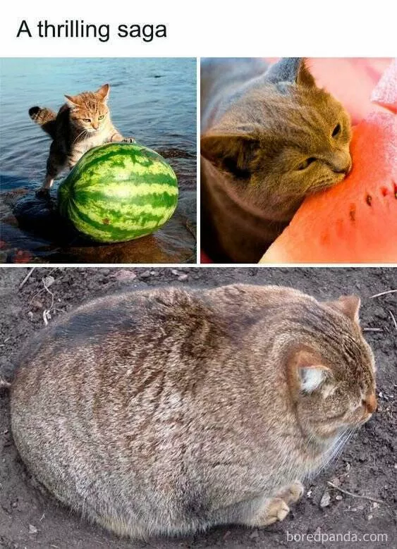 Picdump 635 - #29 
