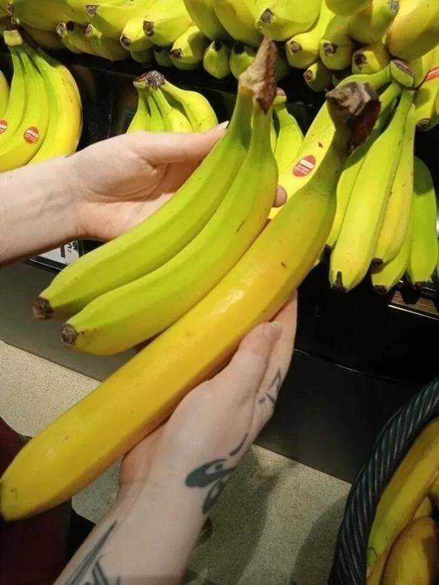 Picdump 635 - #49 