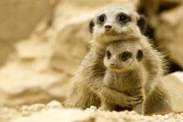 Picdump 636 - #26 