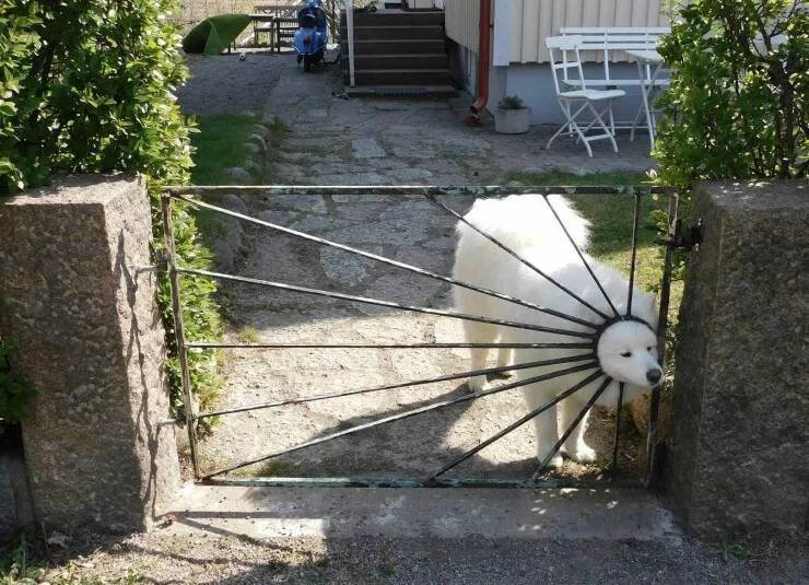 Picdump 636 - #33 