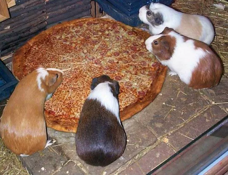 Picdump 636 - #35 
