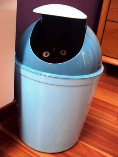 Picdump 96 - #15 