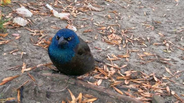 Picdump 96 - #22 