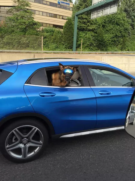 Picdump 96 - #32 