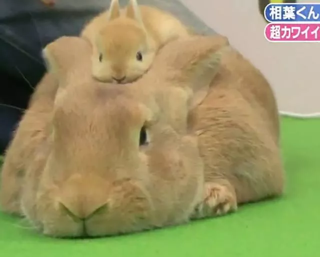 Picdump 96 - #45 